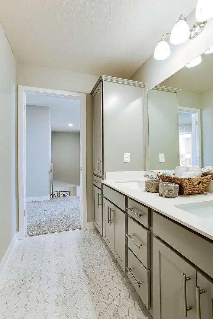 1481 Sophia Drive, Chaska, MN 55318
