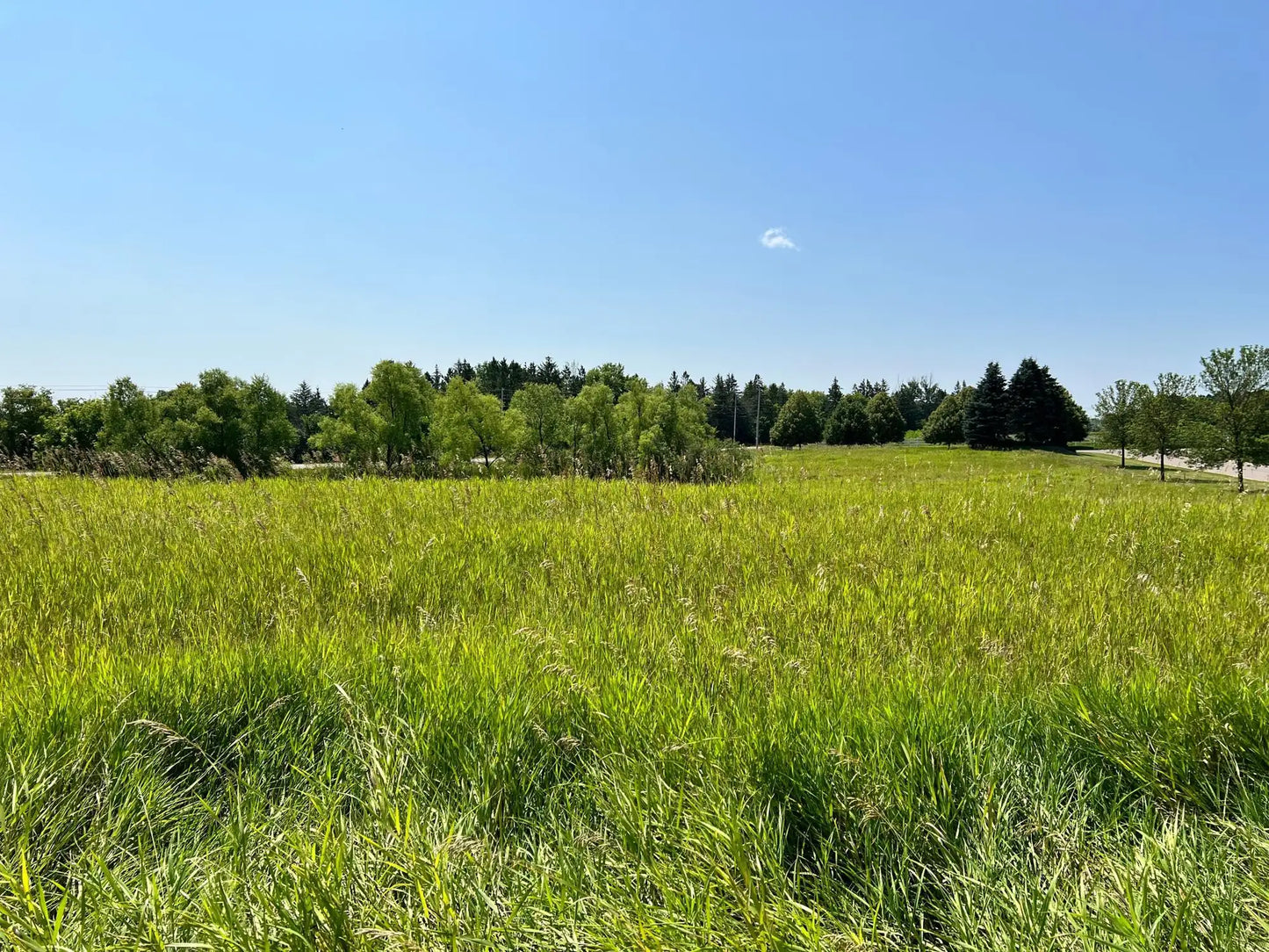 0 Foxfield Drive, Prior Lake, MN 55372