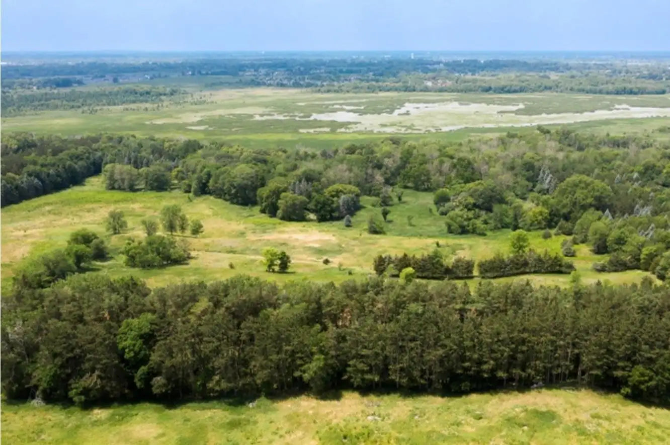 14420 Homestead Avenue, Hugo, MN 55038